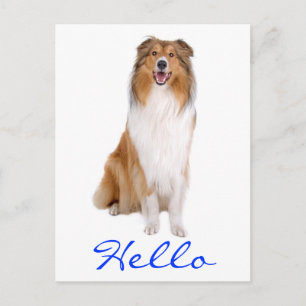 hallo Collie Puppy Dog Greeting Briefkaart