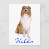 hallo Collie Puppy Dog Greeting Briefkaart (Voorkant)