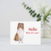 hallo Collie Puppy Dog Greeting Briefkaart (Staand voorkant)
