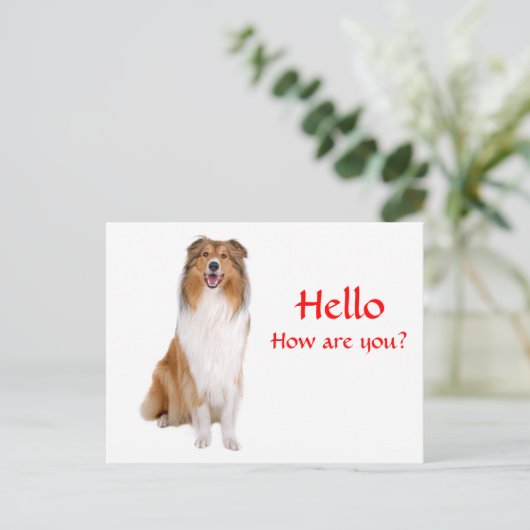 hallo Collie Puppy Dog Greeting Briefkaart (Staand voorkant)