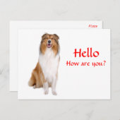 hallo Collie Puppy Dog Greeting Briefkaart (Voorkant / Achterkant)