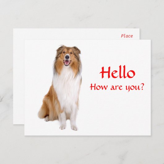 hallo Collie Puppy Dog Greeting Briefkaart (Voorkant / Achterkant)