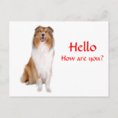 hallo Collie Puppy Dog Greeting Briefkaart (Voorkant)