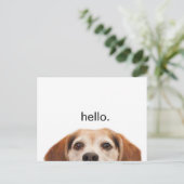 hallo Cute Funny Beagle Dog Modern Trendy Blank Briefkaart (Staand voorkant)