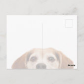 hallo Cute Funny Beagle Dog Modern Trendy Blank Briefkaart (Achterkant)