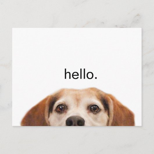 hallo Cute Funny Beagle Dog Modern Trendy Blank Briefkaart (Voorkant)