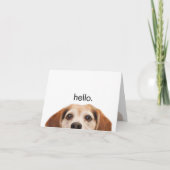 hallo Cute Funny Beagle Dog Modern Trendy Blank Kaart (Voorkant)