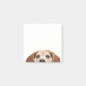hallo Cute Funny Beagle Dog Modern Trendy Post-it® Notes (Voorkant)