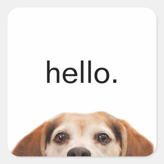 hallo Cute Funny Beagle Dog Modern Trendy Vierkante Sticker (Voorkant)