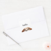 hallo Cute Funny Beagle Dog Modern Trendy Vierkante Sticker (Envelop)
