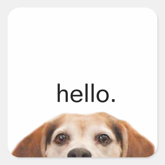 hallo Cute Funny Beagle Dog Modern Trendy Vierkante Sticker (Voorkant)