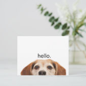 hallo Cute Funny Beagle Dog Nose Briefkaart (Staand voorkant)