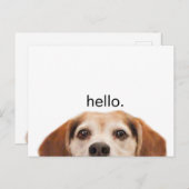 hallo Cute Funny Beagle Dog Nose Briefkaart (Voorkant / Achterkant)