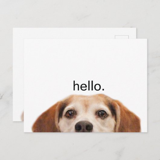 hallo Cute Funny Beagle Dog Nose Briefkaart (Voorkant / Achterkant)