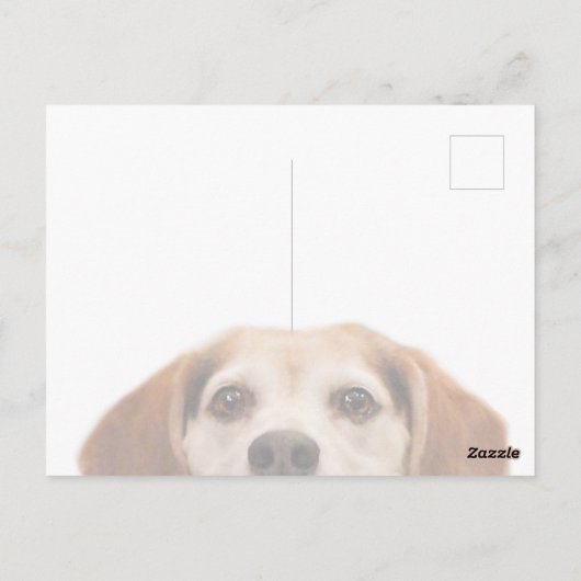 hallo Cute Funny Beagle Dog Nose Briefkaart (Achterkant)
