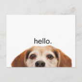 hallo Cute Funny Beagle Dog Nose Briefkaart (Voorkant)