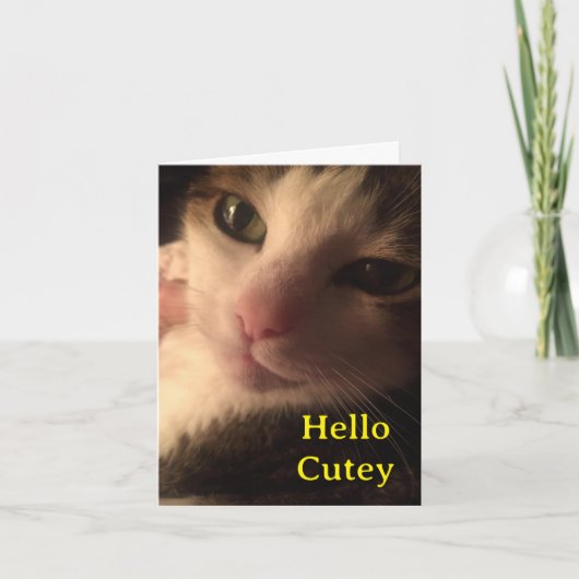 Hallo Cutey Kaart (Voorkant)