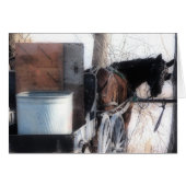 Hallo daar (Voorkant Horizontaal)