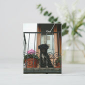 hallo daar beneden briefkaart (Staand voorkant)