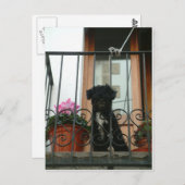 hallo daar beneden briefkaart (Voorkant / Achterkant)