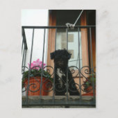 hallo daar beneden briefkaart (Voorkant)