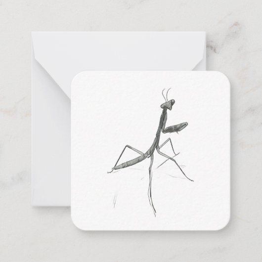 Hallo daar! bidsprinkhaan notitiekaartje (Voorkant)