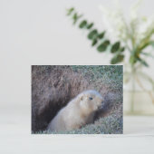 Hallo daar briefkaart (Staand voorkant)