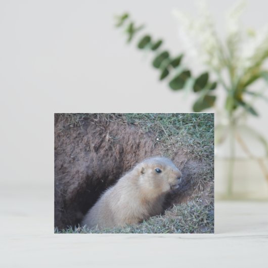 Hallo daar briefkaart (Staand voorkant)