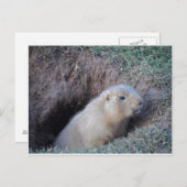 Hallo daar briefkaart (Voorkant / Achterkant)