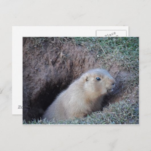 Hallo daar briefkaart (Voorkant / Achterkant)