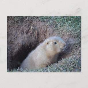 Hallo daar briefkaart