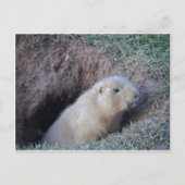 Hallo daar briefkaart (Voorkant)