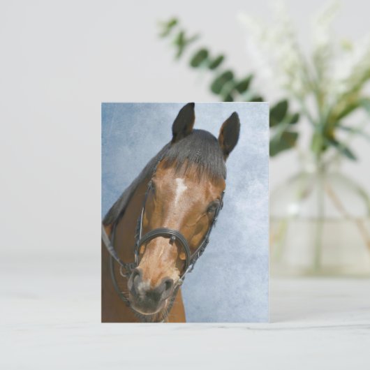 Hallo daar briefkaart (Staand voorkant)