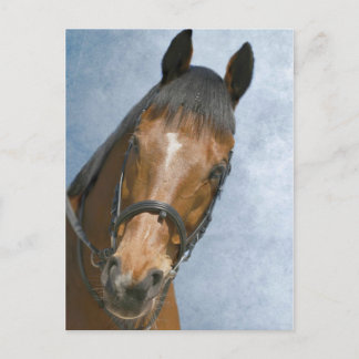 Hallo daar briefkaart