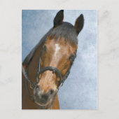 Hallo daar briefkaart (Voorkant)