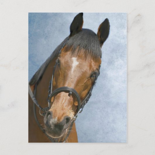 Hallo daar briefkaart (Voorkant)