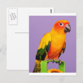hallo daar briefkaart (Voorkant / Achterkant)