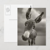 Hallo daar briefkaart (Voorkant / Achterkant)