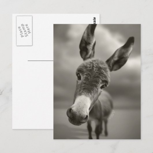 Hallo daar briefkaart (Voorkant / Achterkant)