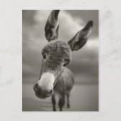 Hallo daar briefkaart (Voorkant)