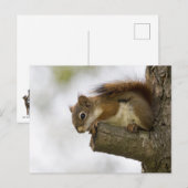 hallo daar briefkaart (Voorkant / Achterkant)