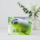 hallo daar Cute Seal Briefkaart (Staand voorkant)