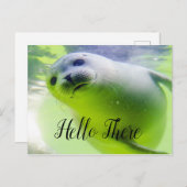 hallo daar Cute Seal Briefkaart (Voorkant / Achterkant)