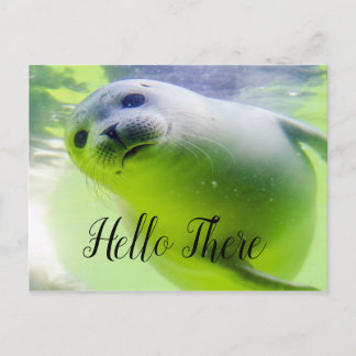 hallo daar Cute Seal Briefkaart