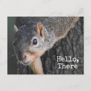 hallo, daar, Cute Squirrel Foto Briefkaart