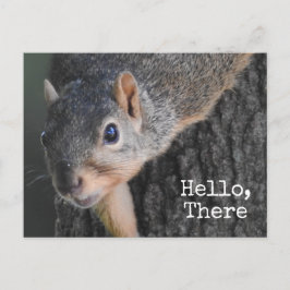 hallo, daar, Cute Squirrel Foto Briefkaart