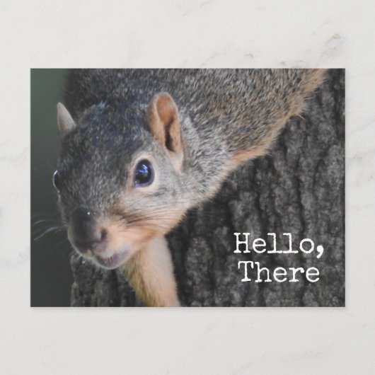 hallo, daar, Cute Squirrel Foto Briefkaart (Voorkant)