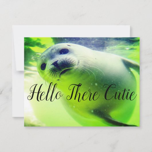 hallo Daar Cutie (Voorkant)