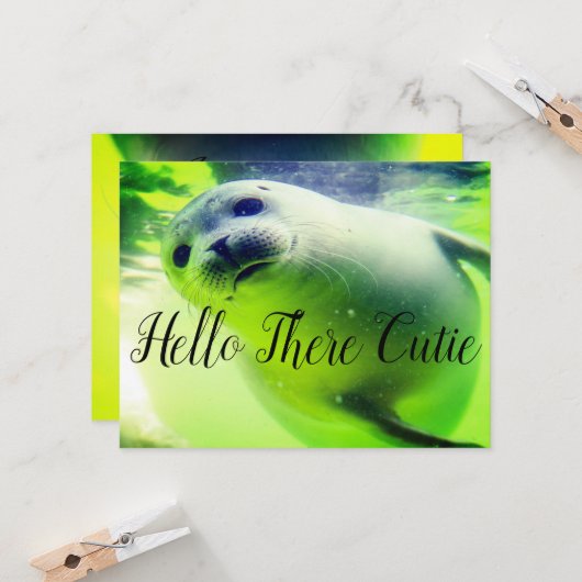 hallo Daar Cutie (Voorkant / Achterkant in situ)