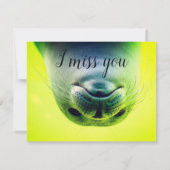 hallo Daar Cutie (Achterkant)